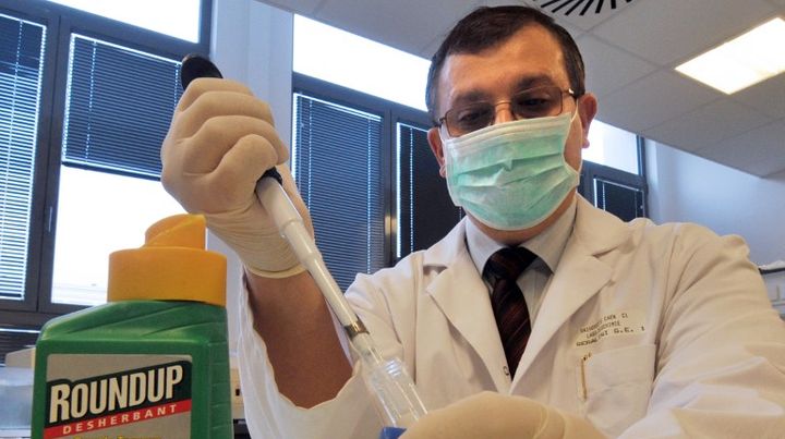 Le professeur de biologie mol&eacute;culaire Gilles-Eric S&eacute;ralini, dans son laboratoire, le 16 janvier 2009, &agrave; l'universit&eacute; de Caen (Calvados). (MYCHELE DANIAU / AFP)