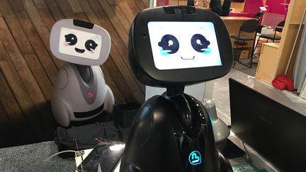 Le robot français Buddy sera commercialisé à la fin de l'année (JC)