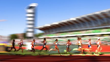 La piste d'athlétisme de Hayward Field à Eugene (Etats-Unis), où ont eu lieu les championnats du monde en 2022. (EZRA SHAW / AFP)