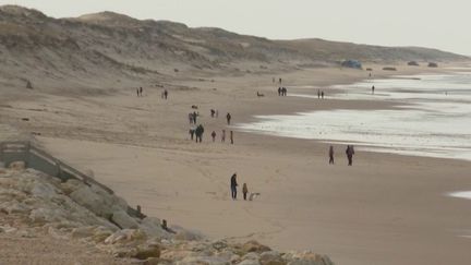 Météo : dans le Sud-Ouest, un air de printemps en février