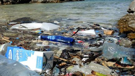 Entre 4 et 12 millions de tonnes de déchets plastiques ont été jetés à la mer en 2010. (AFP)