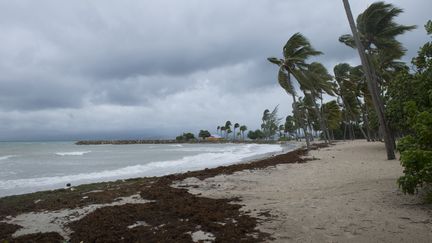 Une plage de Guadeloupe pendant le passage de l'ouragan Irma, le 6 septembre 2017.&nbsp; (HELENE VALENZUELA / AFP)