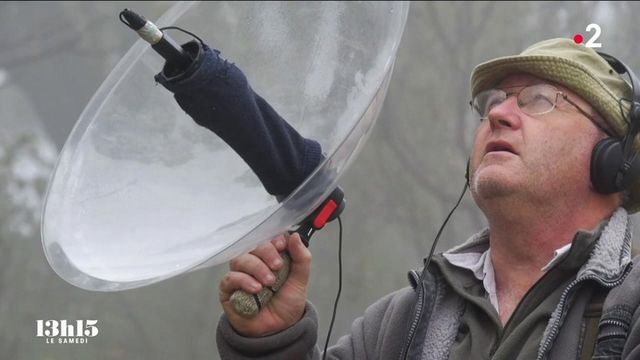 VIDEO. L audio naturaliste chasseur de sons Fernand Deroussen enregistre la vie sauvage pour faire prendre conscience de sa fragilit