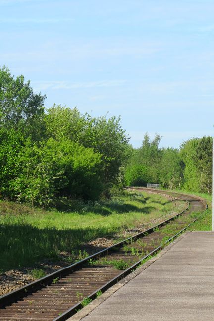 Les trains sont rares&nbsp;dans la gare d'Origny-en-Thiérache (CAMILLE ADAOUST / FRANCEINFO)