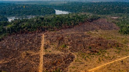 Déforestation en Amazonie sur la commune Colniza (Brésil), le 29 août 2019. (MAYKE TOSCANO / MATO GROSSO STATE COMMUNICATION )