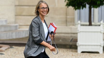 Françoise Nyssen, ministre de la Culture, 30 août 2017
 (Julien Mattia / NurPhoto / AFP)