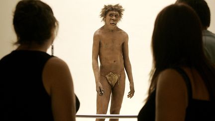 l'Homme de Néandertal, représenté au musée national de la Préhistoire des&nbsp;&nbsp;des Eyzies-de-Tayac (Dordogne). (PATRICK BERNARD / AFP)