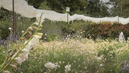 Le festival des jardins de&nbsp;de Chaumont-sur-Loire 2019. (France 2)