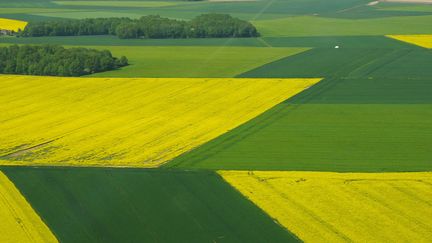 Une plaine avec ses champs cultivés au Printemps. (PIERRE NEVEUX / RADIOFRANCE)