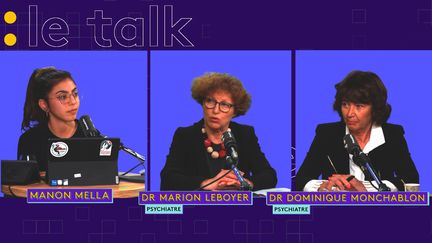 Les psychiatres Dr Marion Leboyer&nbsp;et Dr Dominique Monchablon,&nbsp;invitées du Talk de franceinfo le 14 octobre 2022. (CAPTURE D'ECRAN TWITCH)