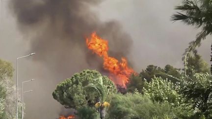 Vague de chaleur : de nombreux pays touchés par des incendies. (FRANCEINFO)