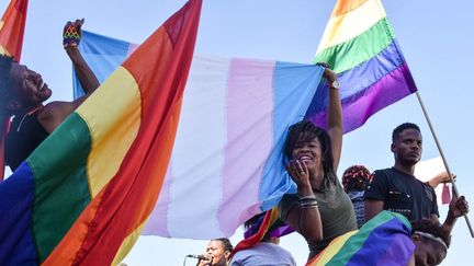 Défilé de la fierté de la communauté namibienne des lesbiennes, gays, bisexuels et transsexuels (LGBT) dans les rues de Windhoek, le 29 juillet 2017.&nbsp;&nbsp; (HILDEGARD TITUS / AFP)