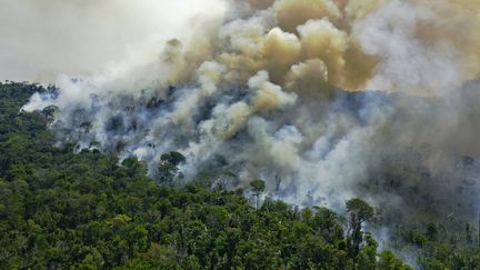 Photo aérienne prise d'une zone en feu de la réserve de la forêt amazonienne, au sud de Novo Progresso, dans l'État de Para au Brésil,&nbsp;le 16 août 2020. (CARL DE SOUZA / AFP)