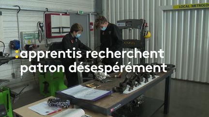 covid : apprentis recherchent patron désespérément