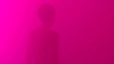 Ann-Veronica Janssens dans la brume de son installation
 (France3/culturebox)