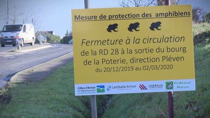 Côtes d'Armor : la "route de grenouilles" définitivement fermée à la circulation pour protéger les amphibiens