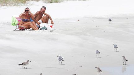 Pendant que d'autres guettent les signes de l'arriv&eacute;e de la temp&ecirc;te. (EPA / MAXPPP)