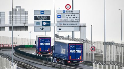 Des camions en direction du Tunnel sous la Manche, le 4 janvier 2021 (illustration). (DENIS CHARLET / AFP)