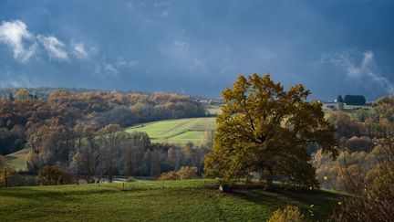 Cassagne (Haute-Garonne), le 29 novembre 2022. (LILIAN CAZABET / HANS LUCAS / AFP)