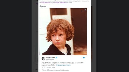 Le tweet et le hashtag d'Alice Coffin, postés mardi 28 août 2018 sur Twitter, ont été largement relayés. (FRANCEINFO / TWITTER ALICE COFFIN)