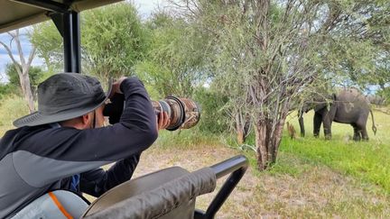 Martin Morel, a wildlife photographer, has just won one of Europe's most prestigious awards, the Master QEP, for his photographs in Africa. (FRANCE 3)