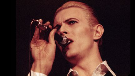 David Bowie à Copenhague sur le "Station to Station" World Tour en 1976, l'année de la sortie de "L'homme qui venait d'ailleurs".
 (Jorgen Angel / Getty Images)