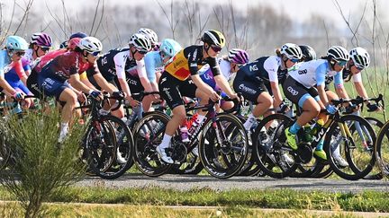 Le peloton lors de la Classic Buges-La Panne, le 24 mars 2022. (JASPER JACOBS / BELGA MAG / AFP)