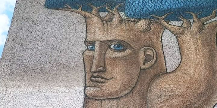 Des artistes repensent les murs gris en couleurs, en graffant de grandes fresques.
 (France 3 / Culturebox)