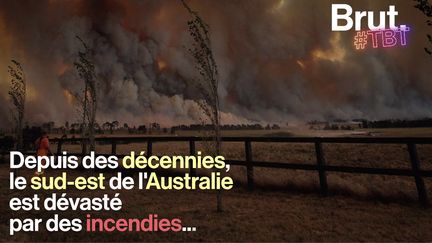 VIDEO. 1939, 1983, 2009… Depuis des décennies, le sud-est de l'Australie est dévasté par des incendies... (BRUT)