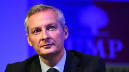 Le candidat &agrave; la pr&eacute;sidence de l'UMP, Bruno Le Maire, lors d'un meeting de campagne &agrave; Marseille, le 13 novembre 2014. (ANNE-CHRISTINE POUJOULAT / AFP)