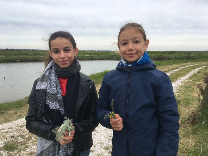 Dans les marais de l'île d'Oléron. (INGRID POHU / RADIO FRANCE)