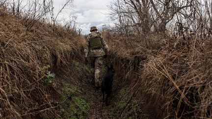 Un soldat ukrainien près d'un champ de bataille, à Niu York, en Ukraine, le 6 novembre 2023. La guerre, qui dure depuis bientôt deux ans, s'enlise depuis l'échec de la contre-offensive de l'armée ukrainienne. "Il n'y aura probablement pas de percée magnifique et profonde", a admis le 1er novembre, le commandant en chef des forces armées, Valery Zaloujny. (DIEGO HERRERA CARCEDO / ANADOLU / AFP)