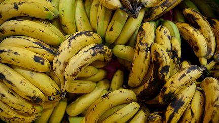 &nbsp;Les Ougandais consomment onze millions de tonnes de&nbsp;bananes par an. (REUTERS/VINCENT WEST)