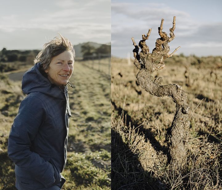 France Crispeels dans ses vignes à Belesta (Pyrénées-Orientales), le 28 février 2023. (PIERRE MOREL / FRANCEINFO)