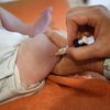 Un pédiatre vaccine un enfant à Quimper (Finistère), le 19 septembre 2017. (FRED TANNEAU / AFP)