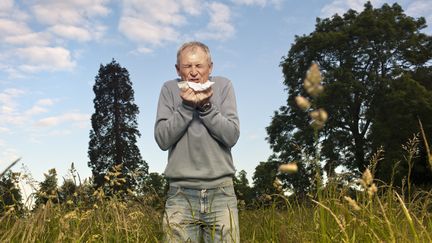 Dans la famille des gramin&eacute;es, de nombreuses herbes et c&eacute;r&eacute;ales, qui poussent dans les prairies, en for&ecirc;t, ou au bord des routes. (COLIN HAWKINS / CULTURA CREATIVE / AFP)