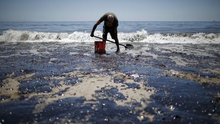 La marée noire fait ses premiers dégâts en Californie