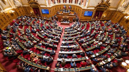 Le Sénat lors d'une séance de questions au gouvernement, le 13 octobre 2021. (SANDRINE MARTY / HANS LUCAS / AFP)