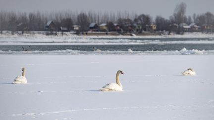 Froid : toute l'Europe est touchée