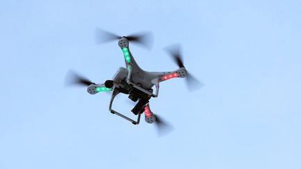 &nbsp; (Paris a été survolée par plusieurs drones ces deux dernières nuits © MAXPPP)