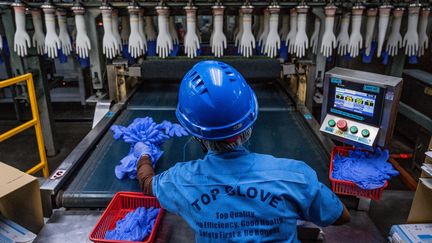 Un travailleur inspecte des gants jetables à l'usine Top Glove à Shah Alam, dans la banlieue de Kuala Lumpur,&nbsp;le 26 août 2020 (photo d'illustration). (MOHD RASFAN / AFP)