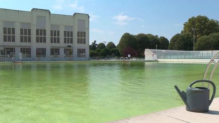 Sécheresse : les vidanges des piscines pointées du doigt