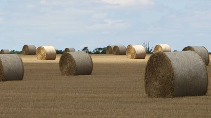 Les investisseurs chinois à l'assaut des terres agricoles françaises