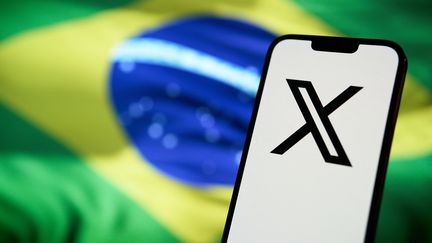 Illustration des X-Logos auf der brasilianischen Flagge. (JAAP ARRIENS/NURPHOTO/AFP)