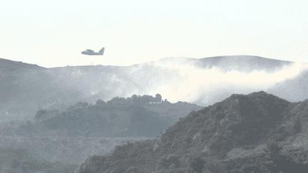 Marseille : 90 hommes mobilisés pour noyer les flammes au plus vite