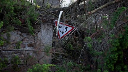 Les dégâts des vents violents à Vannes (Morbihan), vendredi 2 octobre. (LOIC VENANCE / AFP)