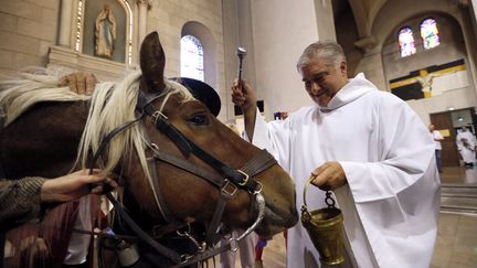 Le p&egrave;re Gil Florini baptise un cheval lors d'un bapt&ecirc;me collectif d'animaux dans l'&eacute;glise Saint-Pierre-d'Ar&ecirc;ne &agrave; Nice (Alpes-Maritimes), le 7 octobre 2012. (VALERY HACHE / AFP)