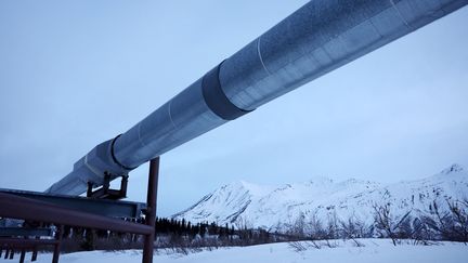 Une partie de la pipeline Trans Alaska, qui sera reliée au projet Willow. (MARIO TAMA / GETTY IMAGES NORTH AMERICA / AFP)