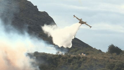 Pyrénées-Orientales : un incendie maîtrisé près de Castelnou (France 2)