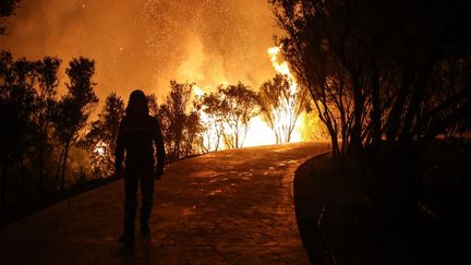 Incendies en Grèce : 56 000 hectares ravagés, un triste record